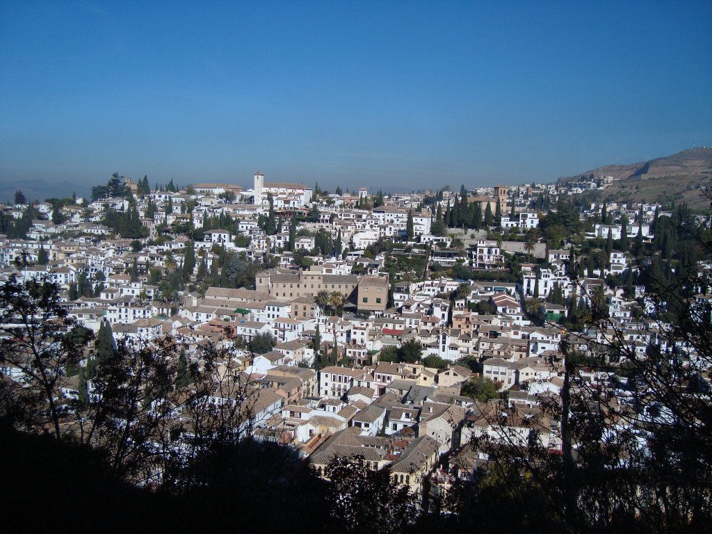 view of Granada from the Alhambra Palace